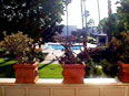Newport Beach Rentals