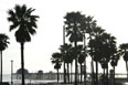 Newport Beach Rentals